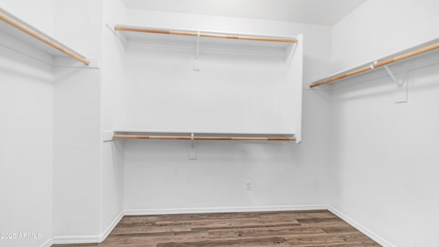 2668 N 73rd Gln, Phoenix, AZ 85035 - walk in closet with dark wood-style floors