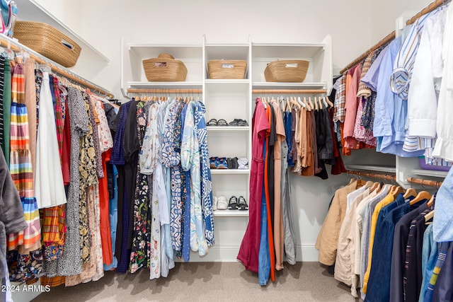 walk in closet featuring carpet flooring