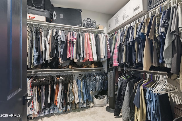 spacious closet featuring carpet