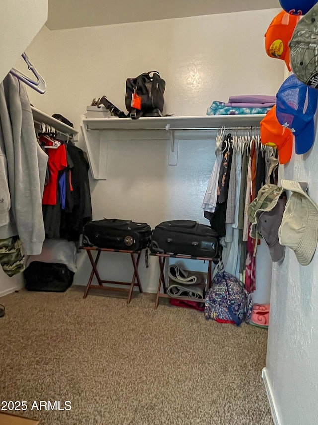 spacious closet featuring carpet