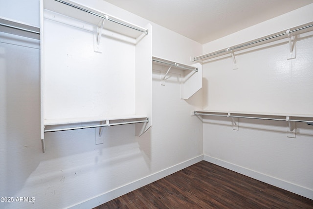 spacious closet with dark wood-style floors