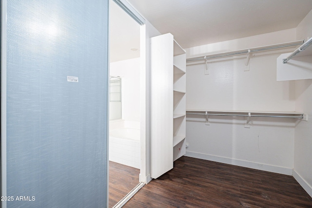 spacious closet featuring dark wood-style flooring