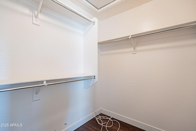 spacious closet featuring dark wood-type flooring