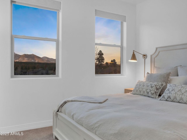 2882 W Presidio Dr, Flagstaff, AZ 86001 - bedroom featuring carpet and baseboards