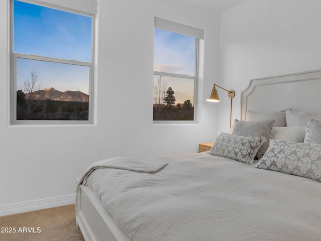 2882 W Presidio Dr, Flagstaff, AZ 86001 - carpeted bedroom featuring baseboards