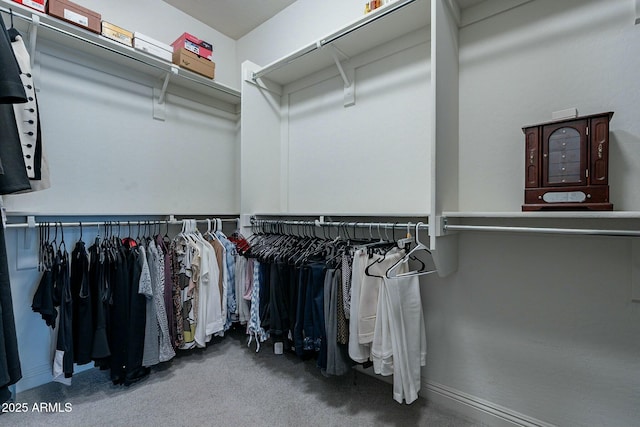 view of walk in closet