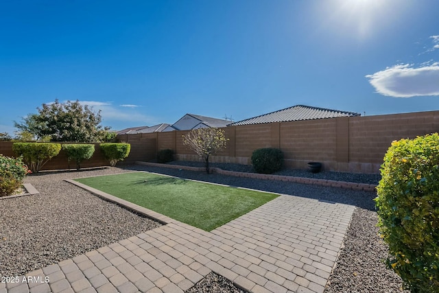 view of yard featuring a patio