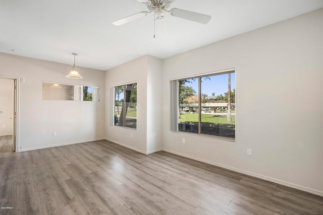 empty room with wood-type flooring and ceiling fan