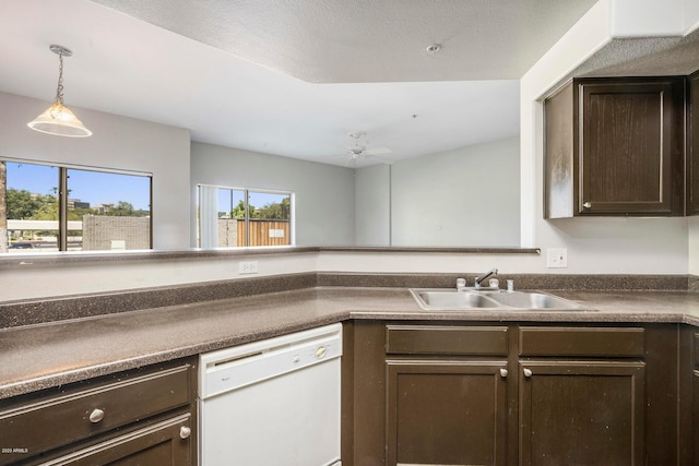 kitchen featuring dark brown cabinetry, ceiling fan, sink, and white dishwasher