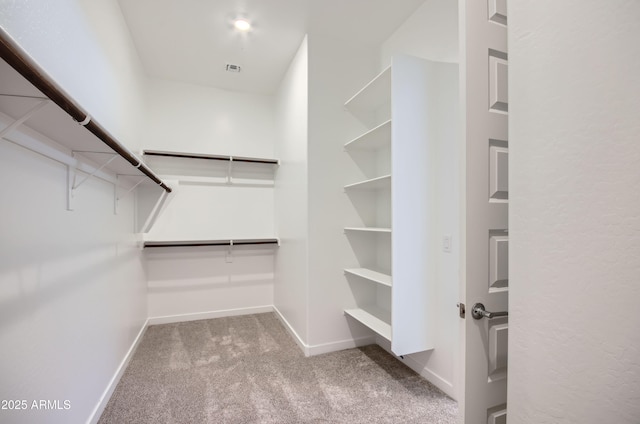 870 W Peralta Pass, Apache Junction, AZ 85120 - walk in closet with carpet