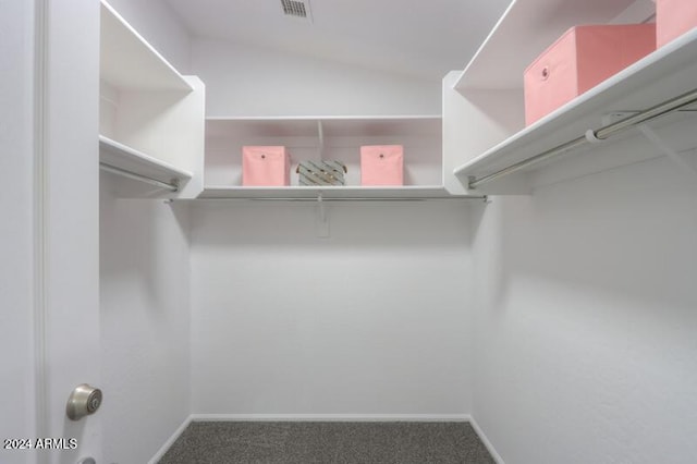 spacious closet featuring carpet floors and lofted ceiling