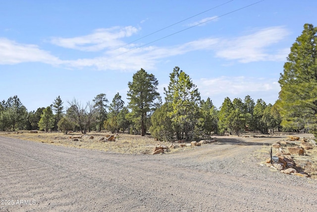 view of road with a rural view