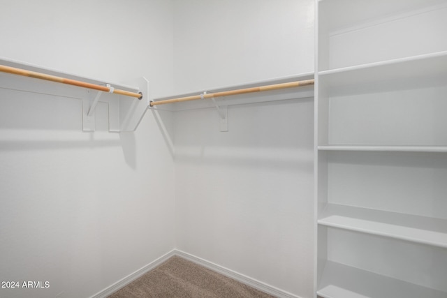 spacious closet featuring carpet floors