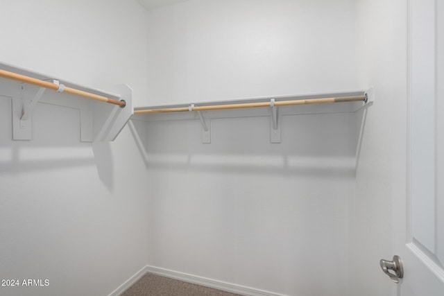 walk in closet with carpet floors