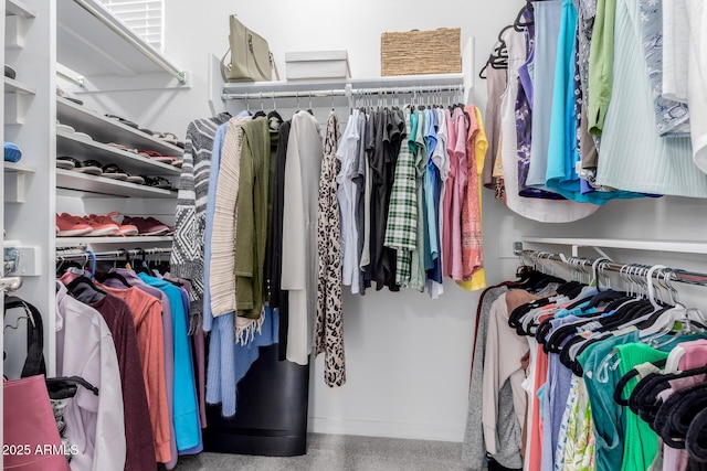 view of walk in closet