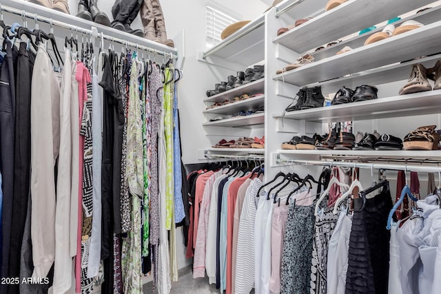 spacious closet featuring carpet floors