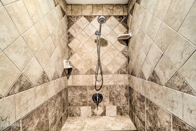 3047 Ponderosa Rd, Overgaard, AZ 85933 - details featuring tiled shower