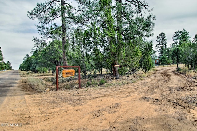 3047 Ponderosa Rd, Overgaard, AZ 85933 - view of street