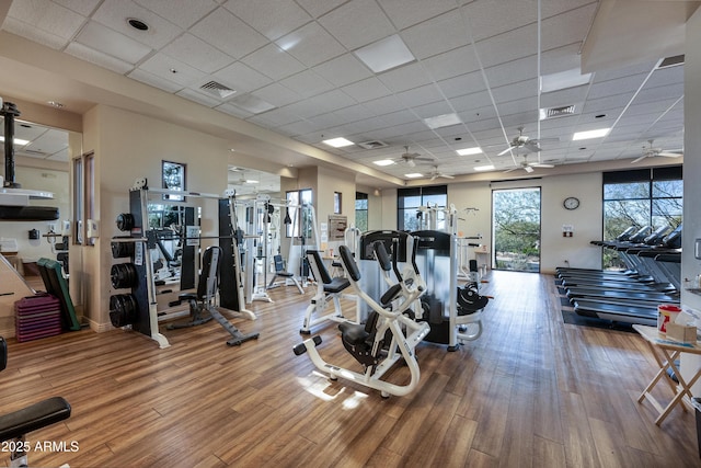 exercise room featuring ceiling fan, wood-type flooring, and a drop ceiling