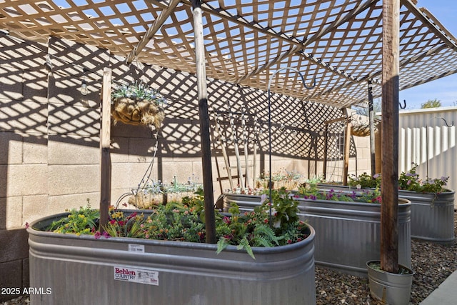 4111 S Dewdrop Ct, Gilbert, AZ 85297 - view of patio / terrace with a vegetable garden