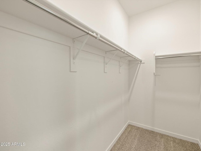 walk in closet featuring carpet flooring