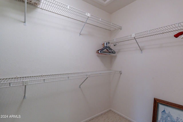 walk in closet featuring carpet flooring