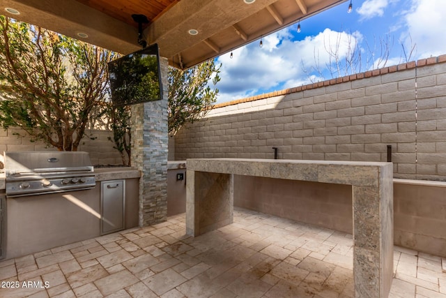 view of patio / terrace with a grill and exterior kitchen