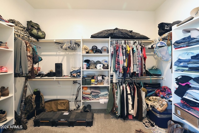 spacious closet with carpet flooring