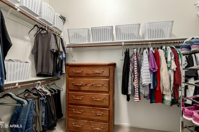 walk in closet featuring carpet flooring