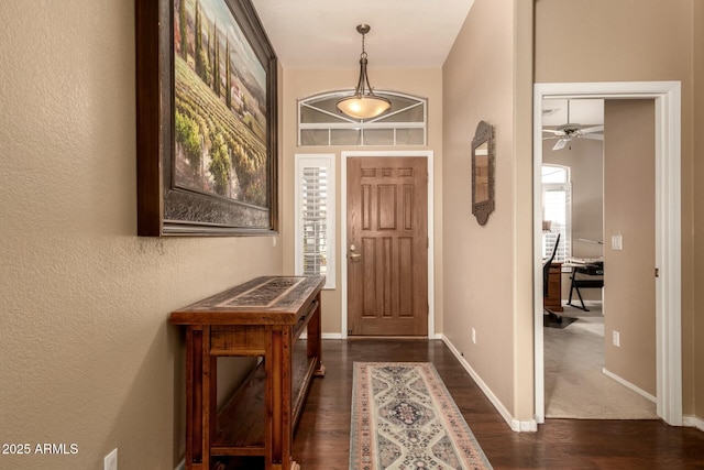 foyer entrance with dark wood-type flooring