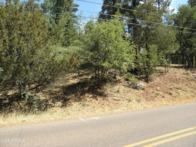 6454 W Bradshaw Dr Unit 116, Pine AZ, 85544 land for sale