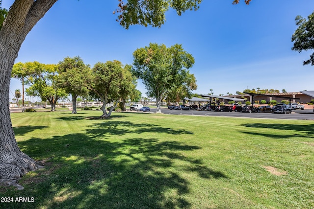 view of home's community with a lawn