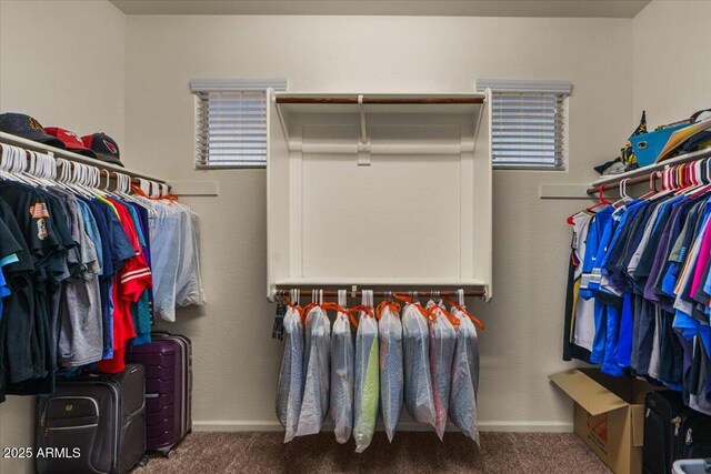 3936 E Narrowleaf Dr, Gilbert, AZ 85298 - walk in closet with carpet floors