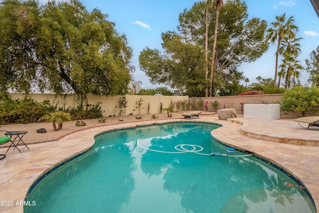 view of swimming pool featuring a patio area