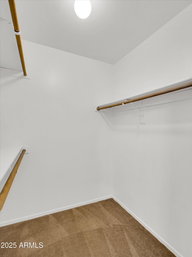 13620 N 82nd Ln, Peoria, AZ 85381 - walk in closet with carpet floors