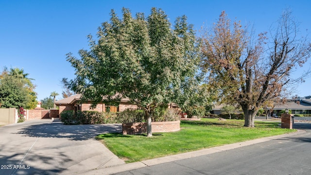 view of property hidden behind natural elements with a front lawn