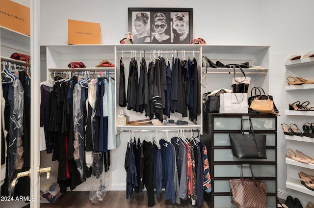 spacious closet featuring wood finished floors