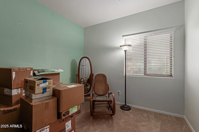 19667 N 260th Ln N, Buckeye, AZ 85396 - sitting room featuring carpet and baseboards