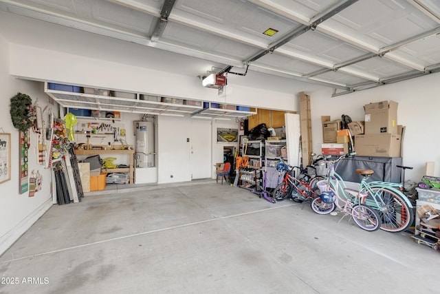 garage featuring a garage door opener and gas water heater
