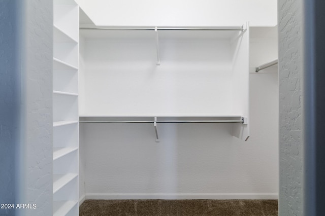 walk in closet featuring carpet floors