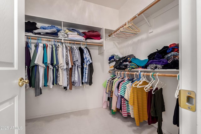 spacious closet featuring carpet