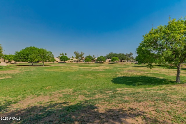 view of green lawn