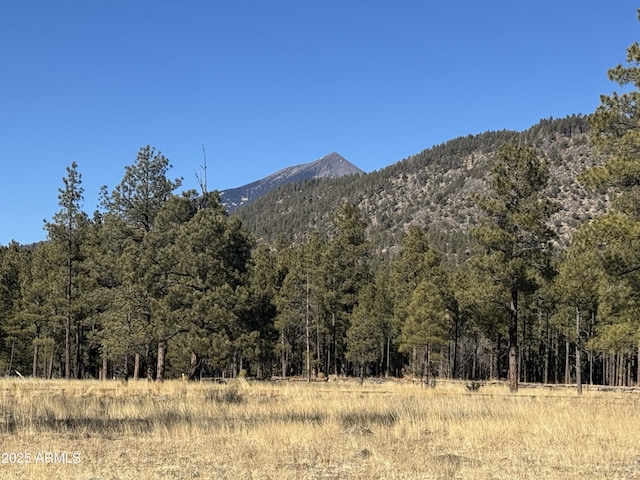 LOT3 N Quintana Dr Unit 3, Flagstaff AZ, 86001 land for sale