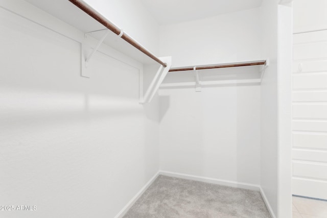 spacious closet featuring light carpet