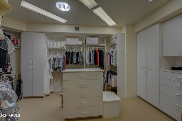 spacious closet with light colored carpet