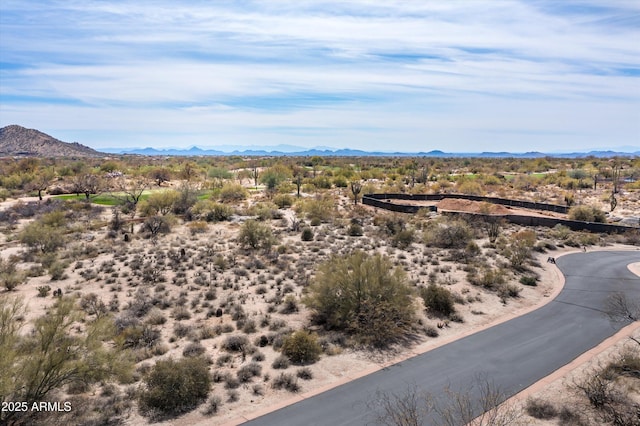 8167 E Leaning Rock Rd Unit 193, Scottsdale, AZ 85266 - property view of mountains