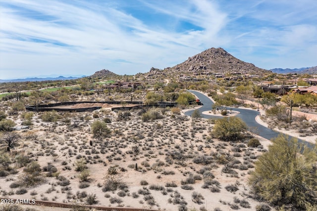 8167 E Leaning Rock Rd Unit 193, Scottsdale, AZ 85266 - mountain view