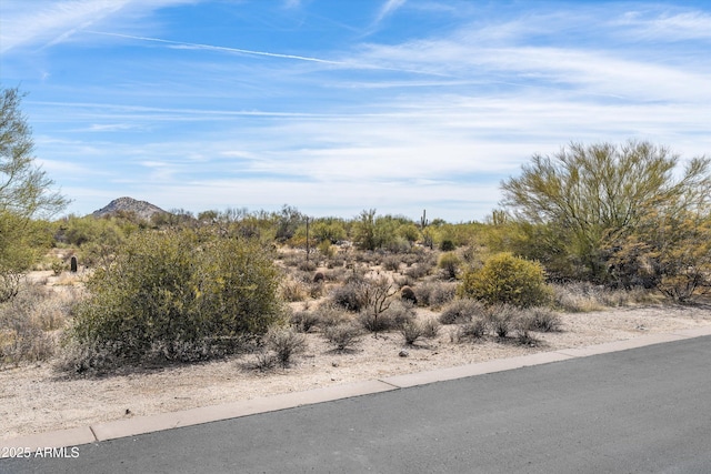 8167 E Leaning Rock Rd Unit 193, Scottsdale, AZ 85266 - view of landscape with a mountain view
