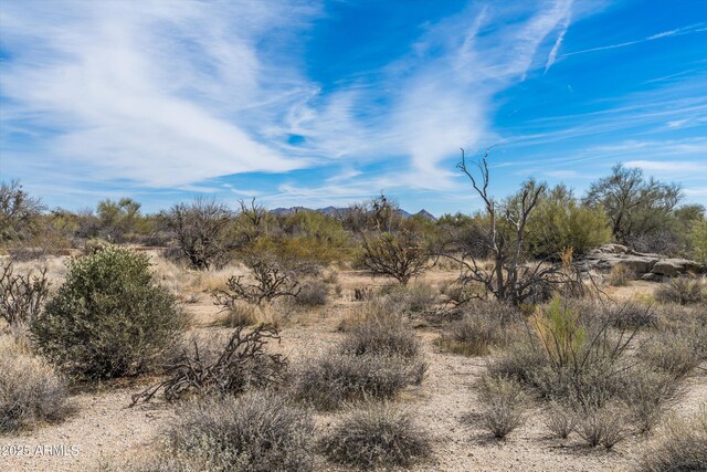 8167 E Leaning Rock Rd Unit 193, Scottsdale, AZ 85266 - view of nature