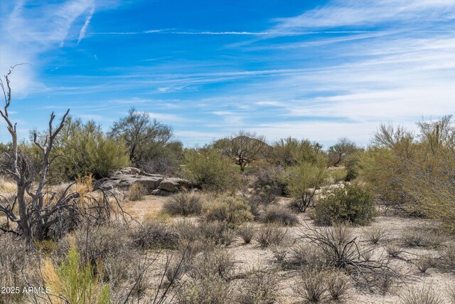 8167 E Leaning Rock Rd Unit 193, Scottsdale, AZ 85266 - view of local wilderness